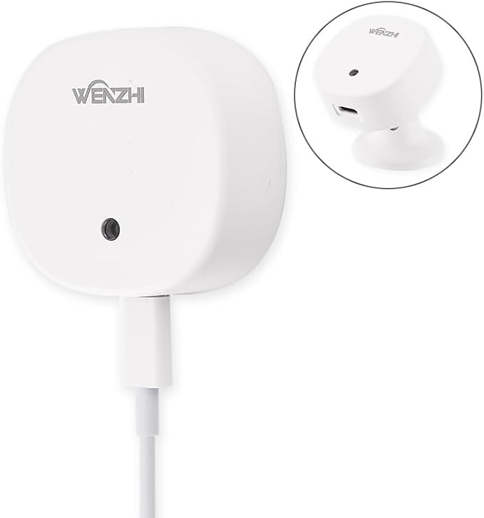 Motion Detectors