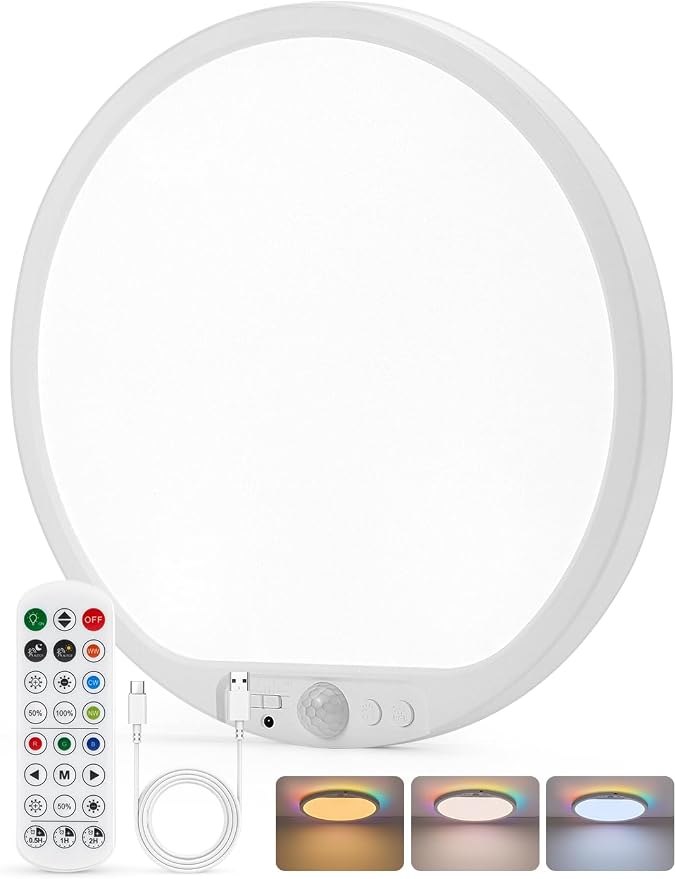 Bojim 10000mAh Battery Operated Ceiling Light by BOJIM