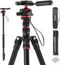 NEEWER BASICS Camera Tripod Monopod, Arca Type QR Plate, Reversible Legs by Neewer