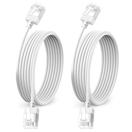 Ultra Thin Cat 6A Ethernet Cable 30 Feet 2Pack, Flexible & Slim Rj45 Cat6a LAN by DUTEVOLNS