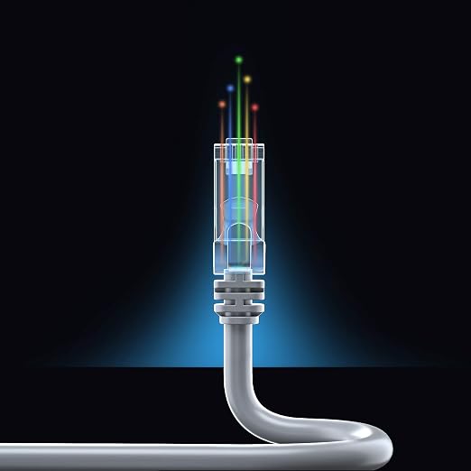 Maximm Cat 6 Ethernet Cable - 6 ft - High-Speed LAN - Image 8