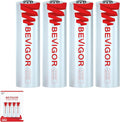 BEVIGOR Lithium AA Batteries 4 Pack, Long Lasting 1.5V AA Battery, 20-Year by BEVIGOR