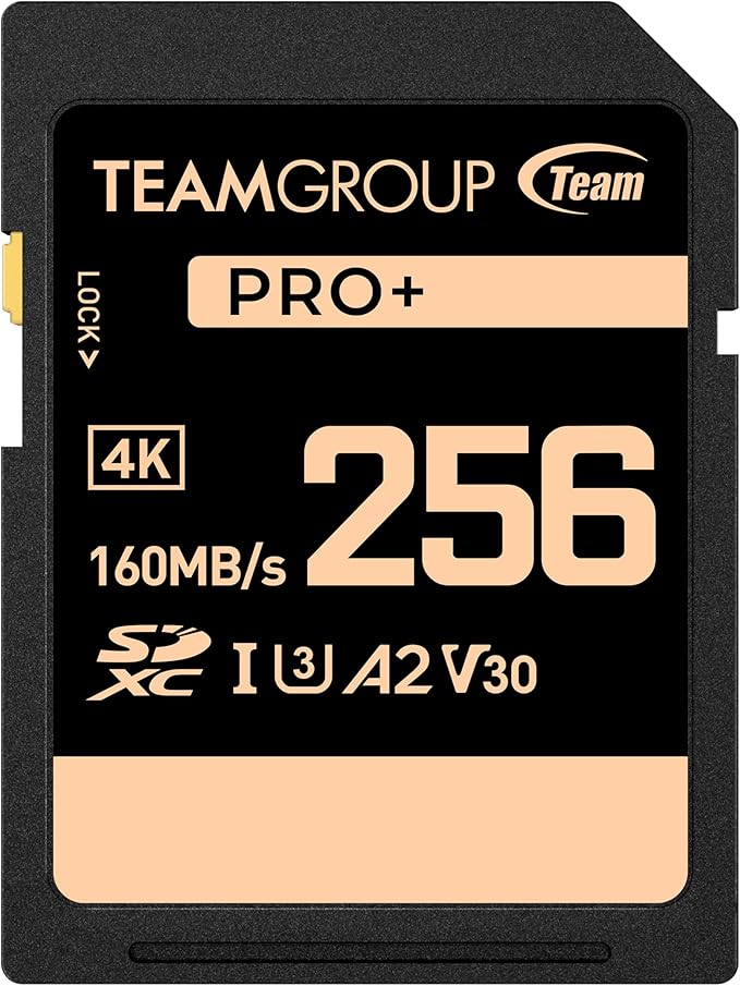 TEAMGROUP PRO 256GB UHS-I U3 A2 V30 4K UHD Read/Write Speed up to 160/120MB/s by TEAMGROUP