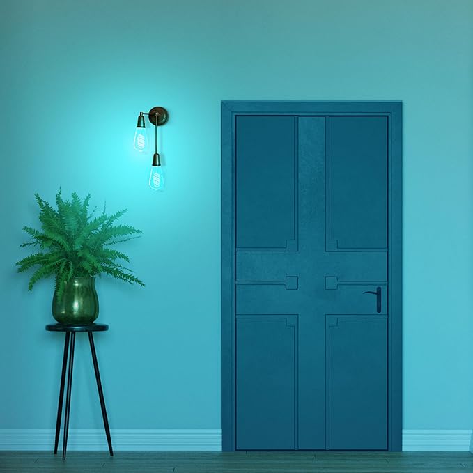 Feit Electric Smart ST21 Light Bulb, 60W Eq, Spiral Filament Edison Style. WiFi - Image 7