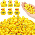 Skylety 100 Pcs Thank You Gifts Mini Resin Ducks Employee Appreciation Gifts by Skylety