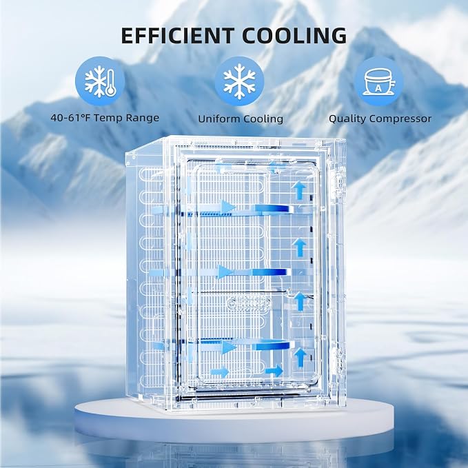 Antarctic Star 18L Beverage Refrigerator Cooler 24Can, Mini Fridge with Quiet Compressor, LED Light,Freestanding Small Fridge with Electronic Temperature Control for Home and Bar(40-61 ℉) - Image 4