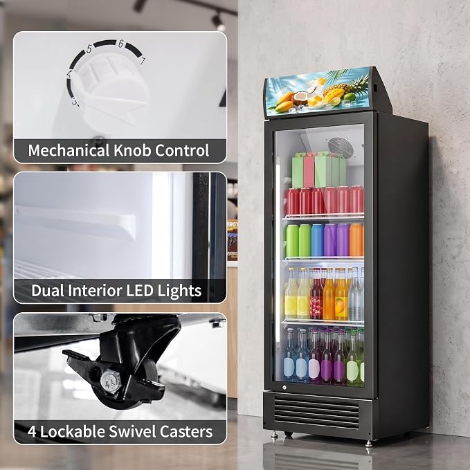 DOGHLY 6 Cu.Ft Commercial Glass Door Beverage Refrigerator, Rapid Cooling | Upright Merchandiser Cooler with 7 Level Temp, Dual Pane Tempered Glass, LED Light Locking Caster Quiet Display Drink Fridge - Image 5