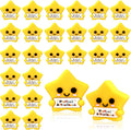 Skylety 50 Pcs Perfect Attendance Resin Star, Perfect Attendance Awards by Skylety