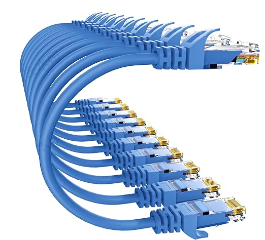 Cat 6 Ethernet Cable 1FT 10Pack, Cat6 Ethernet Patch Cable 10Gbps, High-Speed by 10Gsupxsel