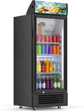 DOGHLY 6 Cu.Ft Commercial Glass Door Beverage Refrigerator, Rapid Cooling | Upright Merchandiser Cooler with 7 Level Temp, Dual Pane Tempered Glass, LED Light Locking Caster Quiet Display Drink Fridge by DOGHLY