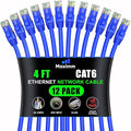 Maximm Cat 6 Ethernet Cable 4 Ft, Cat6 Cable, LAN Cable, Internet Cable by MaximmCable