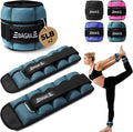 BAGAIL Ankle Wrist Weights for Women & Men, One Pair of 1/2/4/6/8/10 LBS by BAGAIL